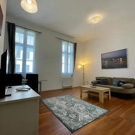 Apartment Downtown Family